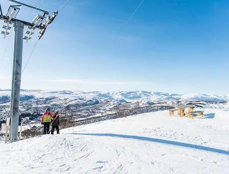 Lejlighed Skarslia Skarsgård